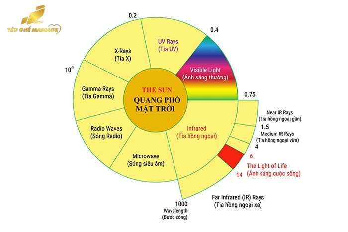 Massage nhiệt hồng ngoại là gì?