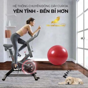 Xe Đạp Tập Thể Dục OKINAWA OS B01 xe đạp tập thể dục trong nhà okinawa OS B01