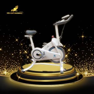 Xe đạp thể dục trong nhà vOkinawa OS - B02