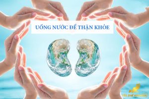 Uống Nước Đúng Cách Để Bảo Vệ Thận