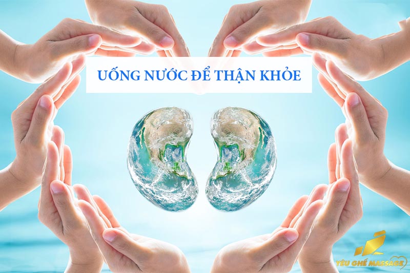 Uống Nước Đúng Cách Để Bảo Vệ Thận Uống Nước Đúng Cách Để Bảo Vệ Thận