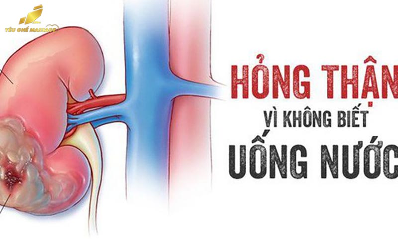 Uống Nước Đúng Cách Để Bảo Vệ Thận