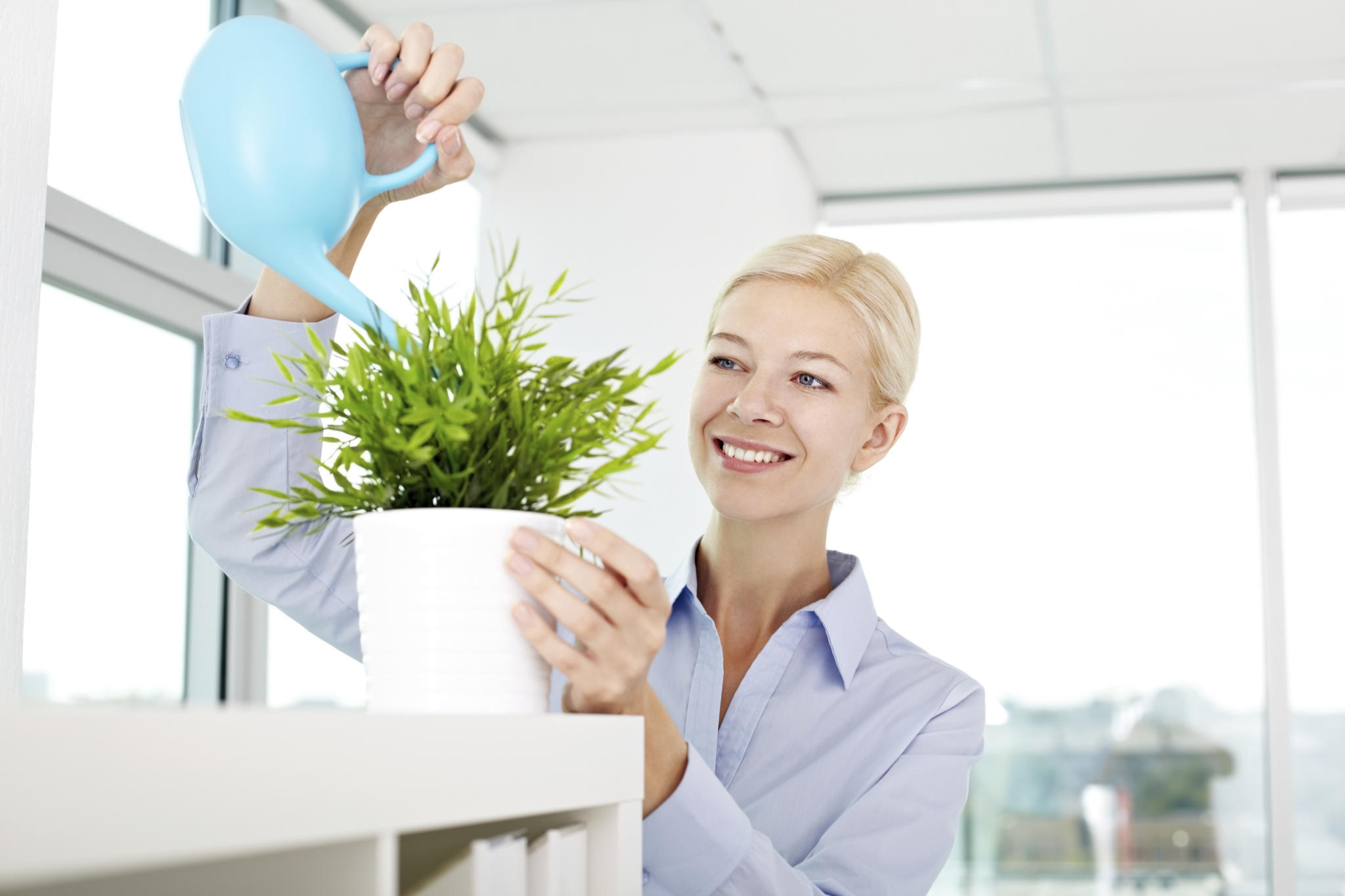 Những cách giải tỏa căng thẳng cho sếp trong giờ làm việc Những cách giải tỏa căng thẳng cho sếp trong giờ làm việc