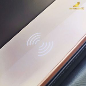 Okinawa Pluscare P1